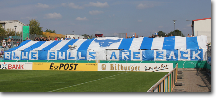 Fans