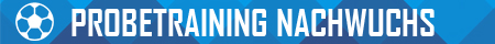 Probetraining
