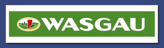 Sponsor